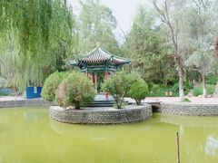 -清真·胖妈妈手抓餐厅(定西路长城宾馆店)