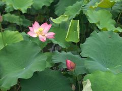 -韶山毛泽东同志故居