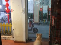 -元氏钵仔糕(北京路店)