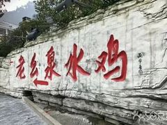 -老幺泉水鸡