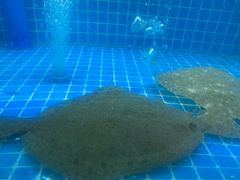 -稷泽·海丽宾雅温泉度假酒店