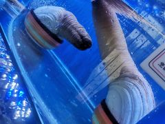 -鼓歌海鲜舫·手抓海鲜(大学城店)