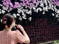 -石家庄市植物园