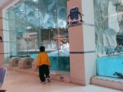 -帝企鹅自助餐厅•儿童岛•真企鹅(长隆企鹅酒店)