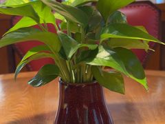 -闽鄂情·闽南招财鸭(水头店)