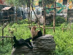 -首都电影院(天津店 中国巨幕)