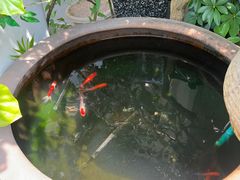 -名点荟·生日蛋糕·下午茶(五缘湾店)