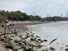 -深圳湾公园(南山区)