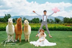 -太古映画婚纱摄影(天河店)