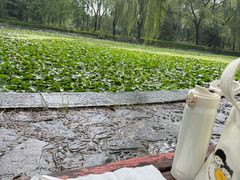 -洛阳市隋唐城遗址植物园