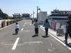 -金鸡湖桃花岛