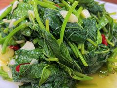 清炒红苕叶-春和發特色蒸饺(浐河西路店)
