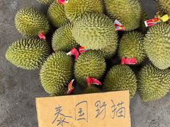-海吉星市场