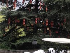 -花溪公园
