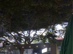-花环泰拳·勒德斯拉泰拳馆(静安店)
