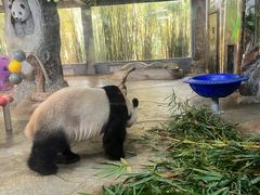 -海南热带野生动植物园