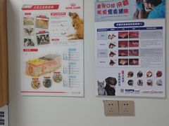 -丹景宠物医院·全科·老年病·牙科(武昌诊疗中心)