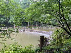 -灵栖洞天