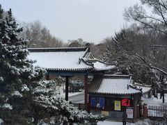 -北陵公园