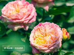 -人民公园(罗湖区)