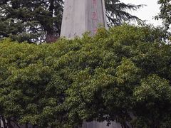 -观潮胜地公园