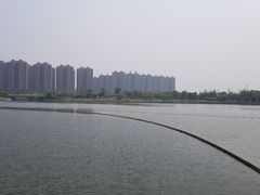 -翠山·映月湖景餐厅(映月湖公园店)