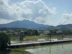 -黄牛肉馆·皖南土菜