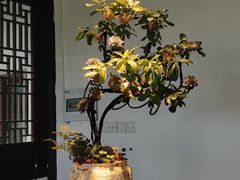 -苏州上方山国家森林公园