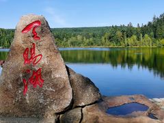 -五营红松林海景区