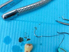 -牙博士口腔品牌连锁(杨浦店)