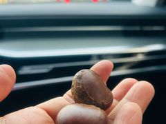 -阿男野栗王(金门路店)