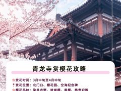 -西安青龙寺遗址景区