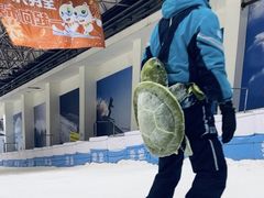 -绍兴启迪乔波冰雪世界