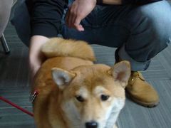 -蓝旗星台球俱乐部(海淀店)