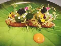 低温三文鱼-莲西餐
