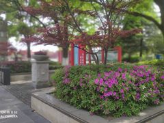-郑和公园