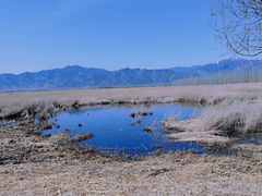 -野鸭湖国家湿地公园