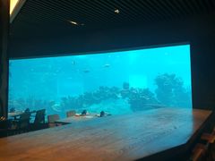 -海棠湾洲际-涛·海底餐厅·美人鱼·自助餐·海底隧道