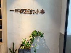 -莓超疯