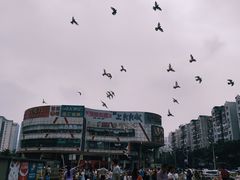 -江燕路万科里