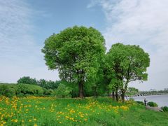 -澹台湖公园