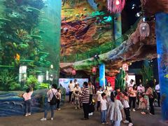 -青岛嘉年华主题乐园