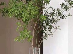 -王尔德与花