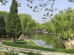 -石家庄市植物园