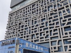 -证大喜玛拉雅中心