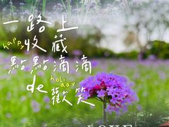 -厦门园林博览苑