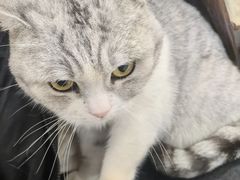 -共舞时光猫咖·狗咖(新街口店)