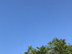 -东北大学(秦皇岛分校)