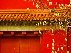 -北京市劳动人民文化宫(太庙)