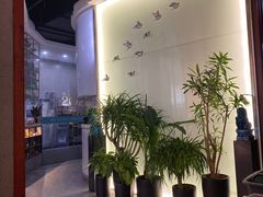 -蕉棠·鸽子餐厅(柳州万象城店)